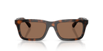 0x8DE785931CA4872