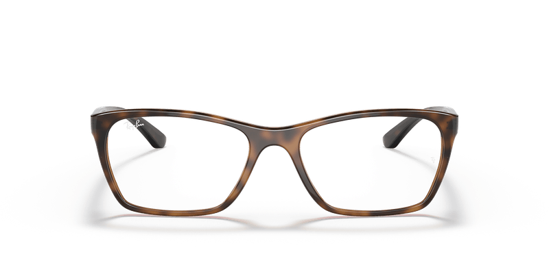 RB7033L RB7033 Optics