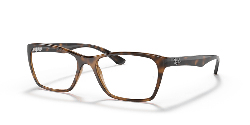 RB7033L RB7033 Optics