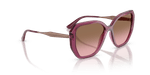 0x8DE787789B3CB77