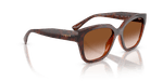 0x8DE787560EED102