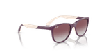 0x8DE7693D29F0B6C