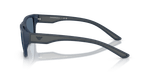 0x8DE900F6E4D7FEB